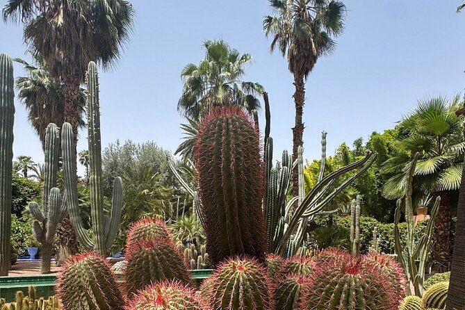 Majorelle Garden, St Laurent and Berber Museum Round Trip Ticket - Price and value: is $63.88 a fair deal?
