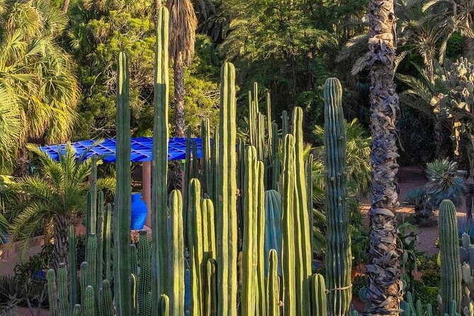 Majorelle Garden, St Laurent and Berber Museum Round Trip Ticket - Guided option (40 euro): what you gain, what to confirm