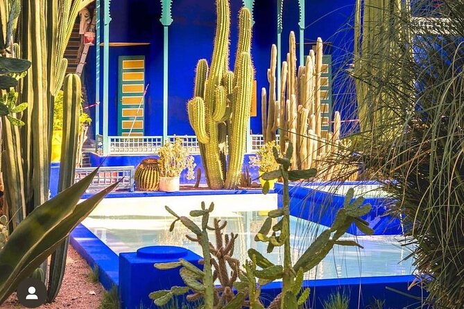 Majorelle Garden, St Laurent and Berber Museum Round Trip Ticket - Best-fit travelers: who this trip suits