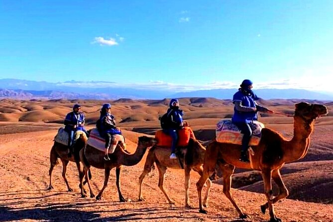 Marical dinner and camel ride at sunset in Desert of Marrakech - Mule and camel rides, plus mint tea and lunch at a Berber home