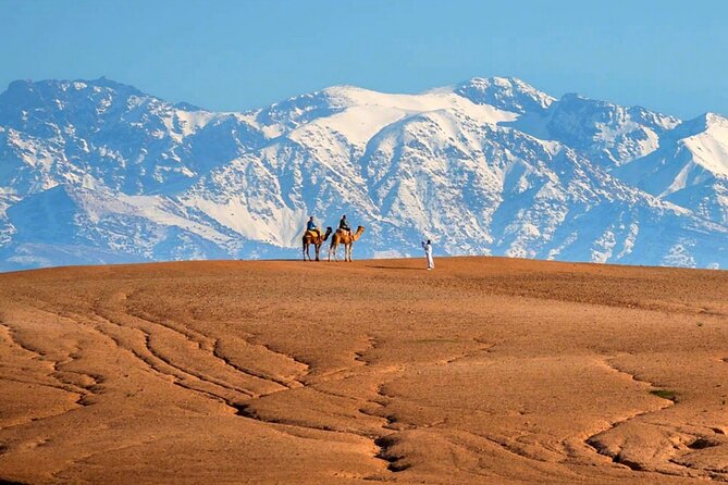 Marical dinner and camel ride at sunset in Desert of Marrakech - Price and value at $25.59 per person, what makes it feel fair