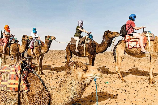 Marrakech: 1 Day Tour-Best of the Atlas Mountains &Three Valleys - Three Valleys and the waterfall walk around Asni and Imlil areas