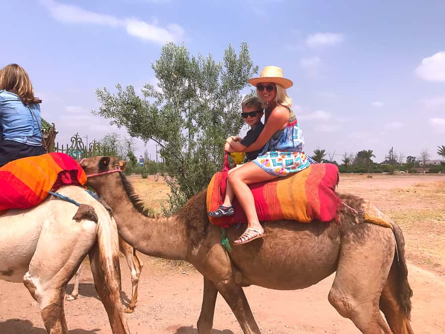 Marrakech : 1-Hour Camel Ride Through the Palm Grove - Key points at a glance