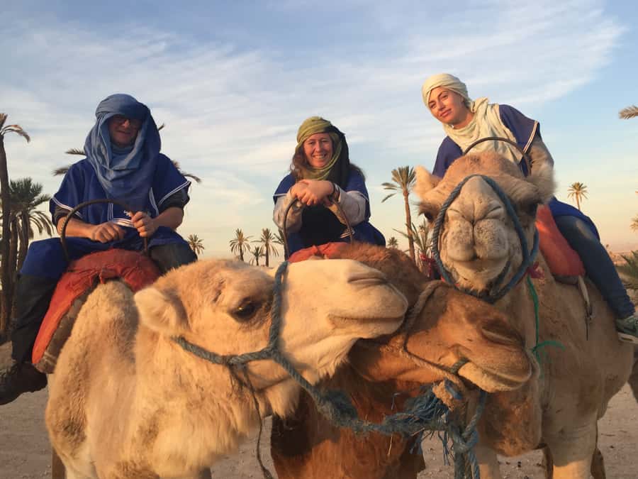Marrakech : 1-Hour Camel Ride Through the Palm Grove - Barbary macaques: a wildlife bonus with real-world rules