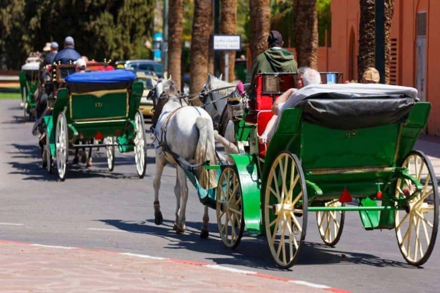 Marrakech: 1-Hour Traditional Horse-Drawn Carriage Tour - Key points before you go