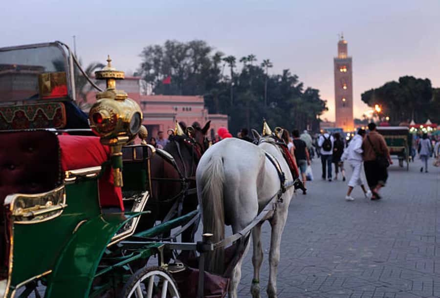 Marrakech: 1-Hour Traditional Horse-Drawn Carriage Tour - Menara Garden visit: the quiet reset and Atlas Mountain view
