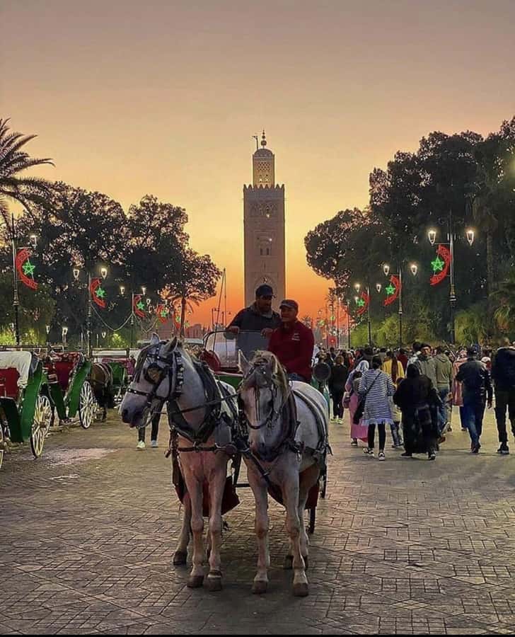 Marrakech: 1-Hour Traditional Horse-Drawn Carriage Tour - Pickup and timing: where small friction can happen