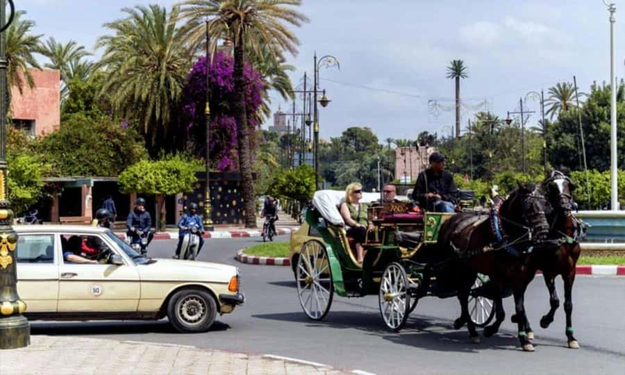 Marrakech: 1-Hour Traditional Horse-Drawn Carriage Tour - Animal welfare question: what I think you should watch for