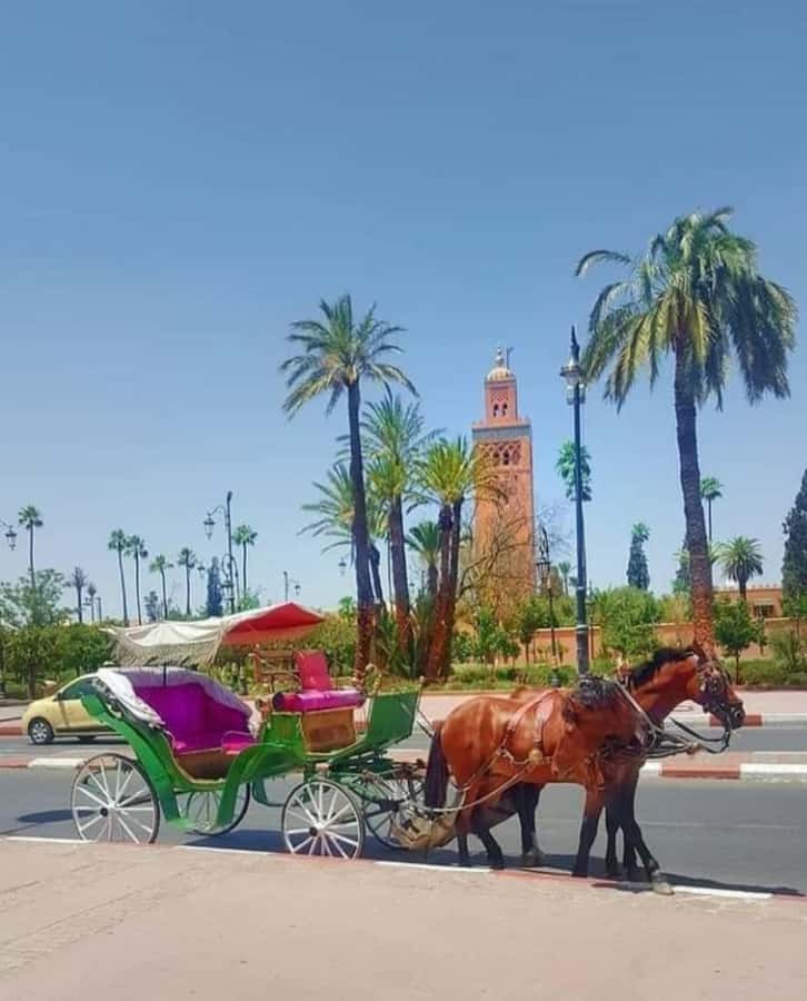 Marrakech: 1-Hour Traditional Horse-Drawn Carriage Tour - Timing, heat, and how to avoid the common pickup hassle