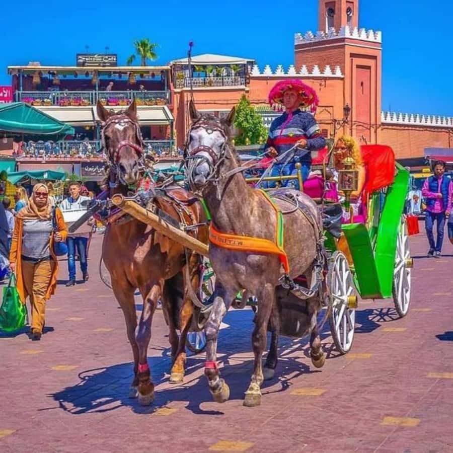 Marrakech: 1-Hour Traditional Horse-Drawn Carriage Tour - The 1-hour horse carriage route through Jemaa el-Fnaa and the Medina walls