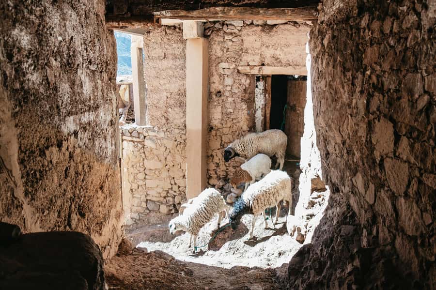 Marrakech: 2-Day Atlas Mountains Trek with Village Stay - Who this trek suits best (and who should look elsewhere)