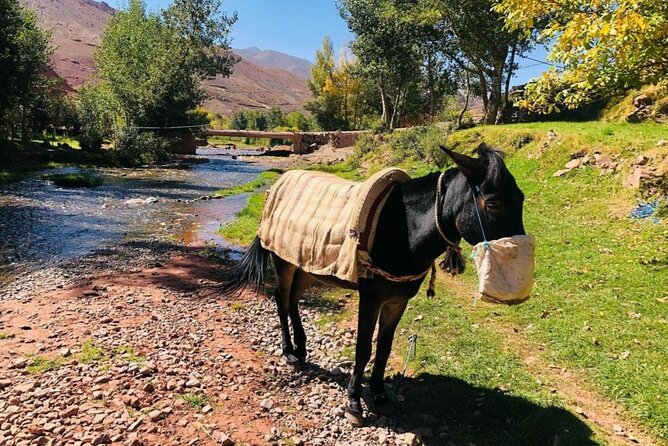 Marrakech: 2-Day Atlas Mountains Trek with Village Stay - Village stay at night: tagine dinner, Berber hospitality, and mountain quiet
