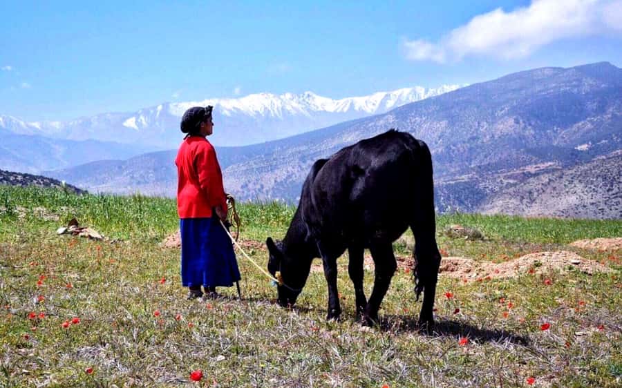 Marrakech: 2-Day Atlas Villages Trekking Tour - Tinmel School and the walk through High Atlas villages toward Ijoukak