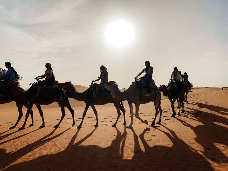 Marrakech 2 days 1 night to zagora desert with camel ride - Marrakech to Zagora: a fast way to see the desert life