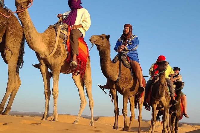 Marrakech: 2 Days tour to Sahara Zagora Desert & Ait-BenHaddou - Key things I’d circle before you go