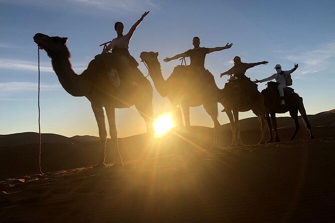 Marrakech: 2 Days tour to Sahara Zagora Desert & Ait-BenHaddou - Ait Ben Haddou and Ouarzazate: worth it, even when Studio Cinema is skipped