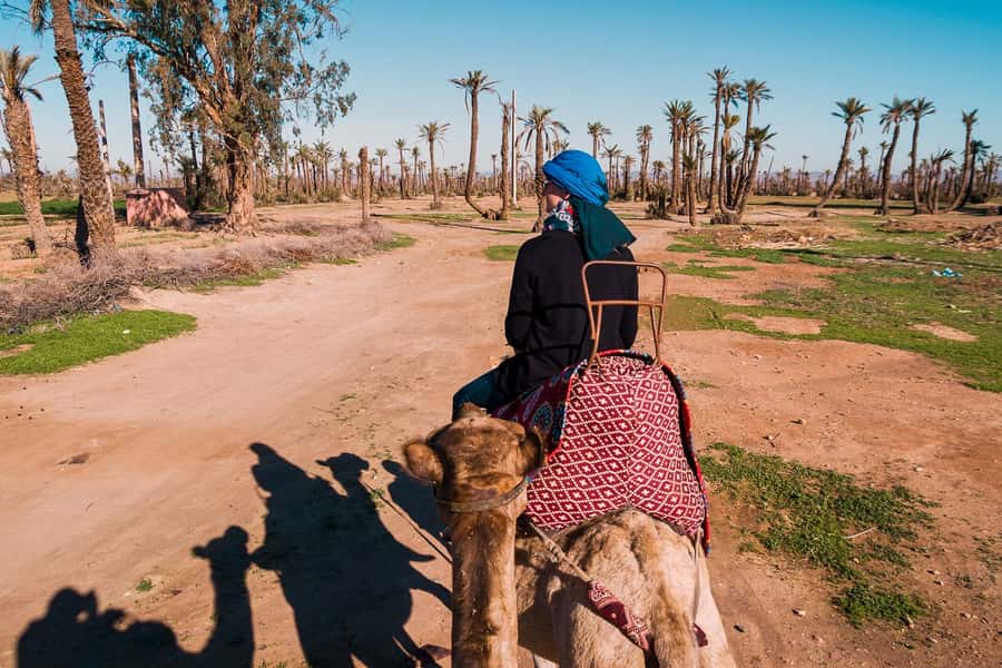 Marrakech: 2-Hour Quad Bike & Camel Ride in Palmeraie - Key highlights to know before you go
