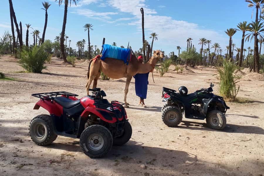 Marrakech: 2-Hour Quad Bike & Camel Ride in Palmeraie - Why Palmeraie is the right place for quads and camels