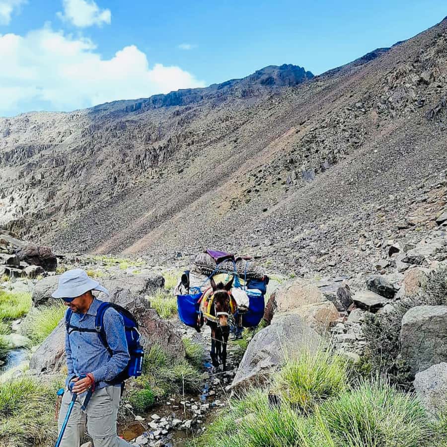 Marrakech: 3-Day Atlas Mountains Berber Villages Trek - Day 3: Waterfalls in Toubkal National Park, Mzik Pass to Imlil