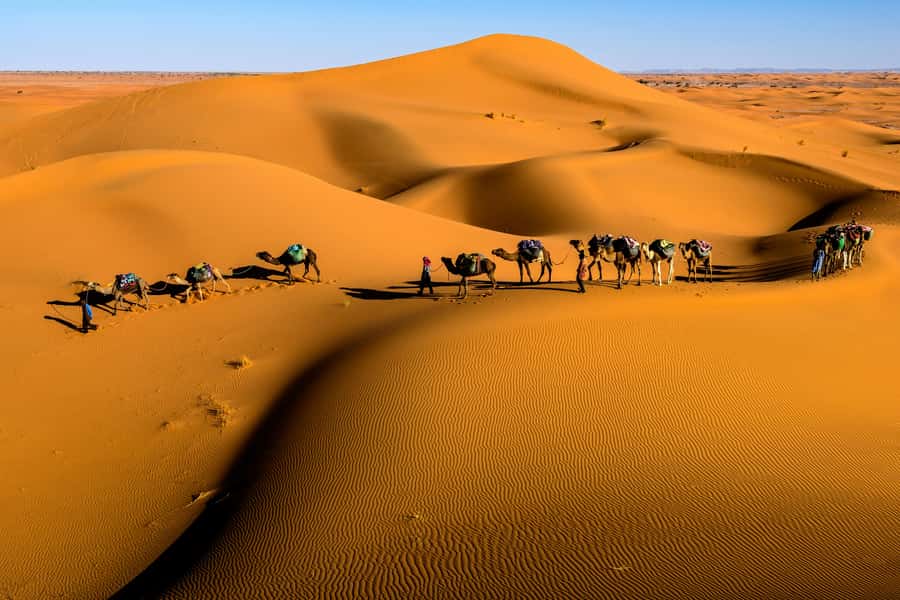 Marrakech: 3-Day Desert Trip to Merzouga with Luxury Camp - Tinghir Oasis and Todra Gorge: where a local guide changes everything