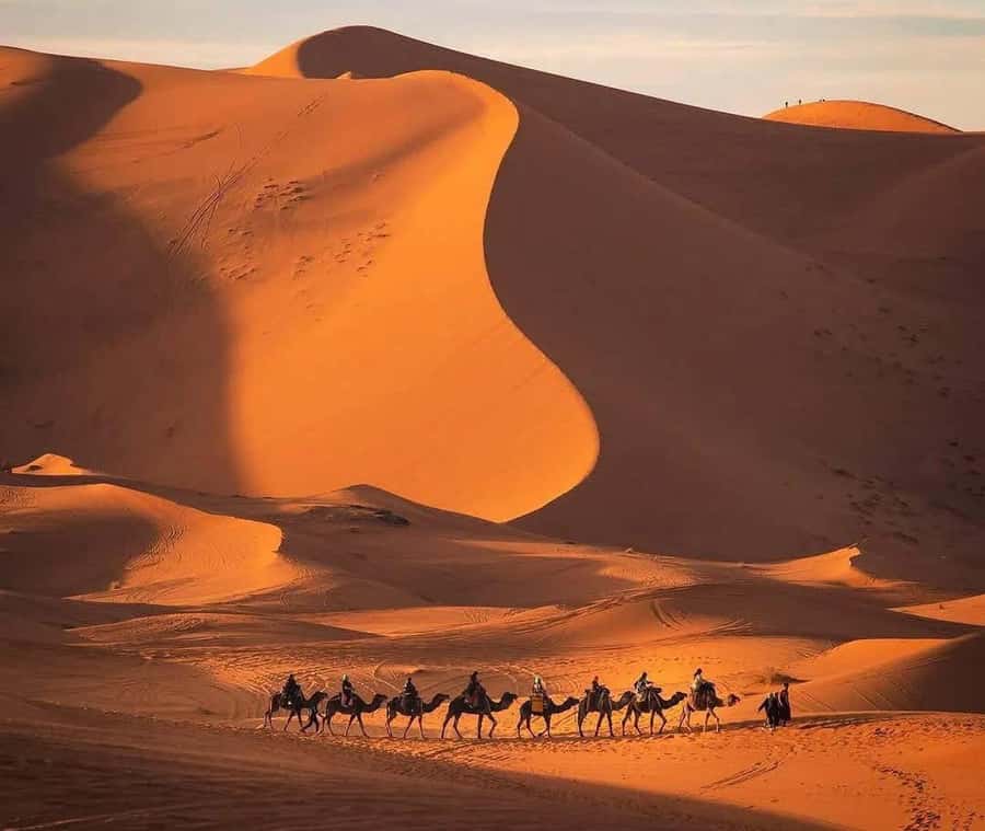 Marrakech: 3-day Exclusive Desert Luxury Tour; Quad & Camels - Price and logistics, what $79 gets you, and what to budget
