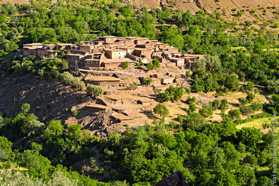 Marrakech: 3-Day High Atlas Mountains and Three Valleys Trek - The High Atlas Three Valleys vibe: real villages, real altitude