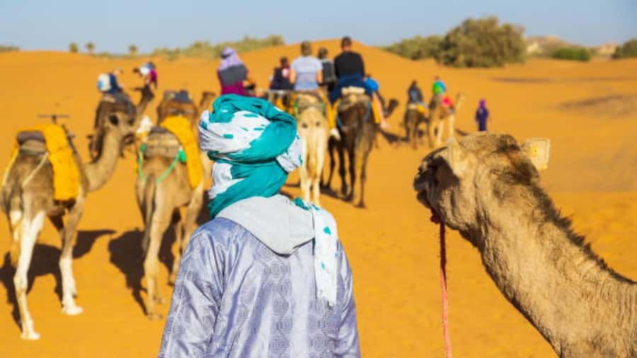 Marrakech: 3-Day Luxurious Desert Tour to Fes via Merzouga. - Day 3: Desert sunrise to Ifrane, cedar forests, and arrival in Fes