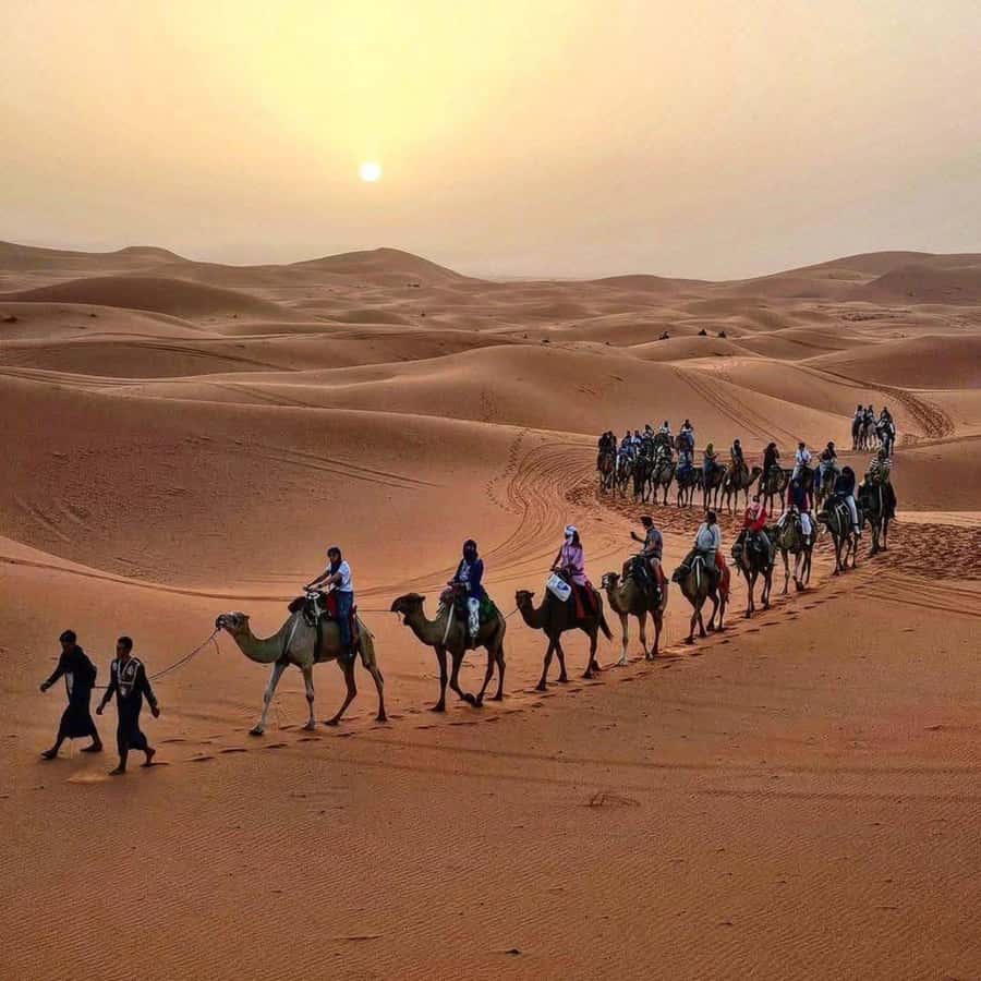 Marrakech: 3-Day Luxurious Desert Tour to Fes via Merzouga. - Day 1: High Atlas viewpoints, Ait Benhaddou, and Dades Valley calm