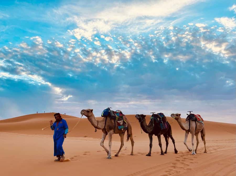 Marrakech: 3-Day Merzouga Desert Tour Camel & Sandboarding - Quick ways to customize the desert part (without breaking the plan)