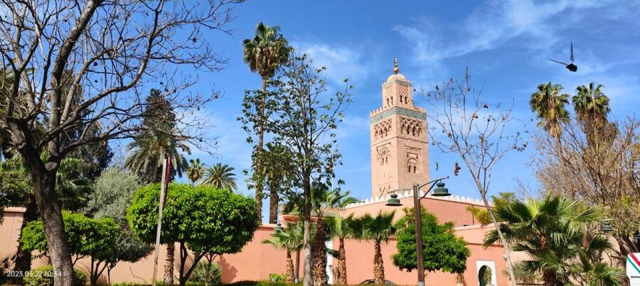 Marrakech 3-Hour Walking Tour - Bahia Palace: spotting royal power in architecture