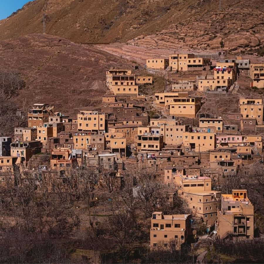 Marrakech 3 Valleys Private Tour, Waterfalls and Mountains - Sidi Fares Forest: A Break From Open Peaks