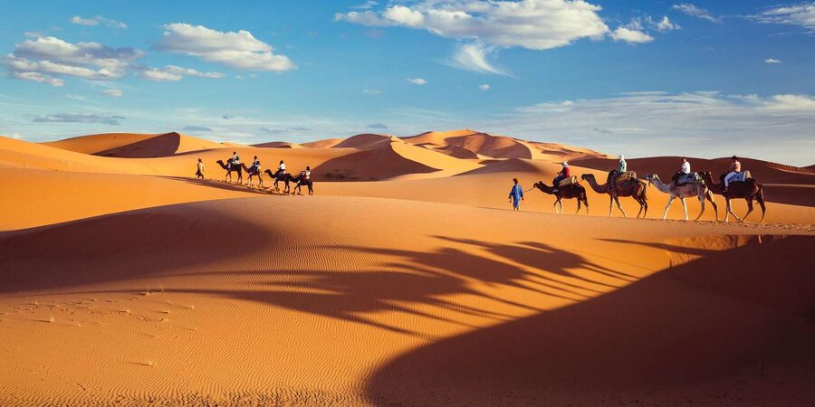 Marrakech: 4D Desert to Merzouga w/ 2 nights in the desert - Who this Marrakech to Merzouga tour suits best