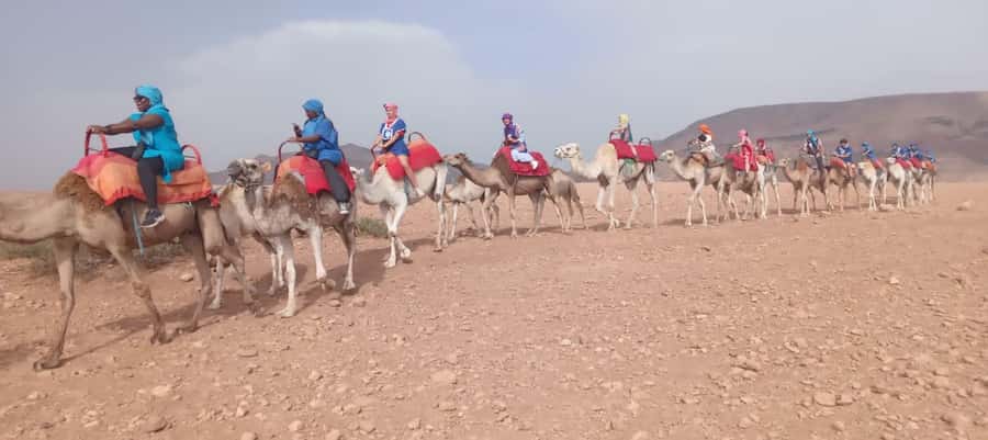 Marrakech Adventure: Agafay Desert Quad, Camel, Lunch - Lunch in a Berber tent: panoramic views, real comfort, and pool time