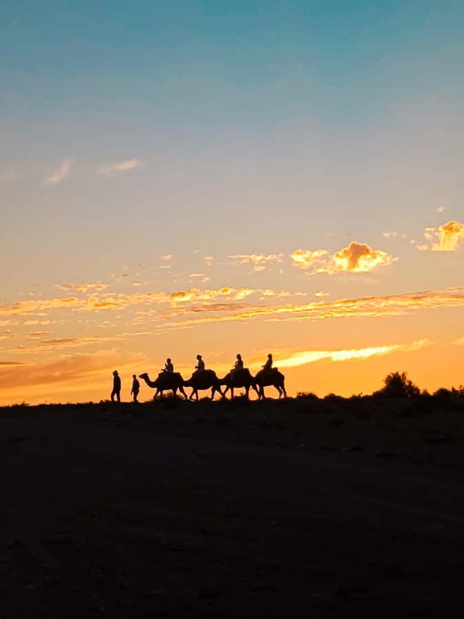Marrakech: Agafay Camel Ride & Dinner with Fire Show Tour - From Marrakech to Agafay, without the stress