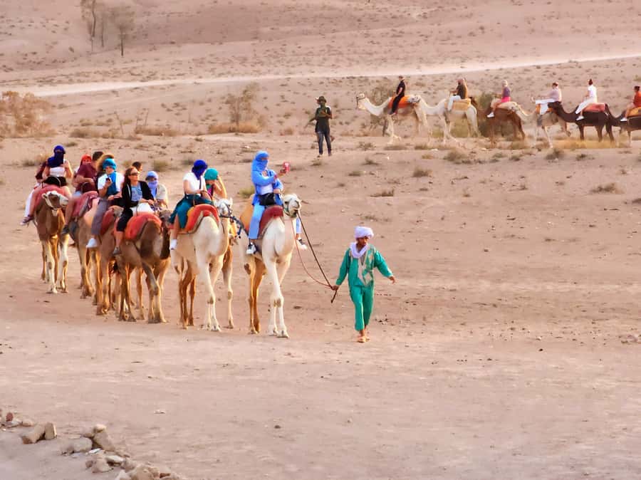 Marrakech: Agafay Camel Ride & Dinner with Fire Show Tour - Price and logistics, what you’re really paying for
