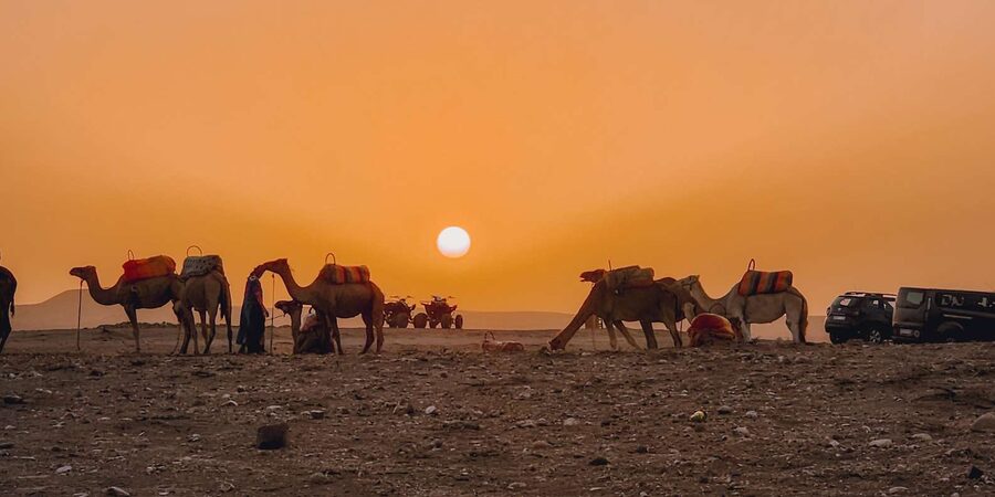 Marrakech: Agafay Camel Ride & Dinner with Fire Show Tour - Who should book this Agafay camel ride night