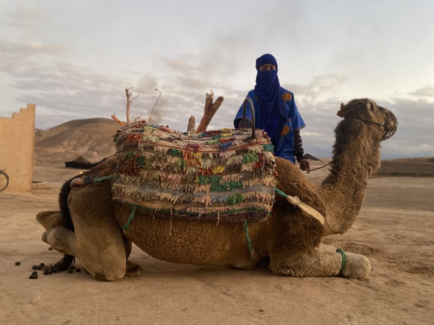 Marrakech: Agafay Desert Buggy Tour with Transfer - Small details that will save you discomfort and stress