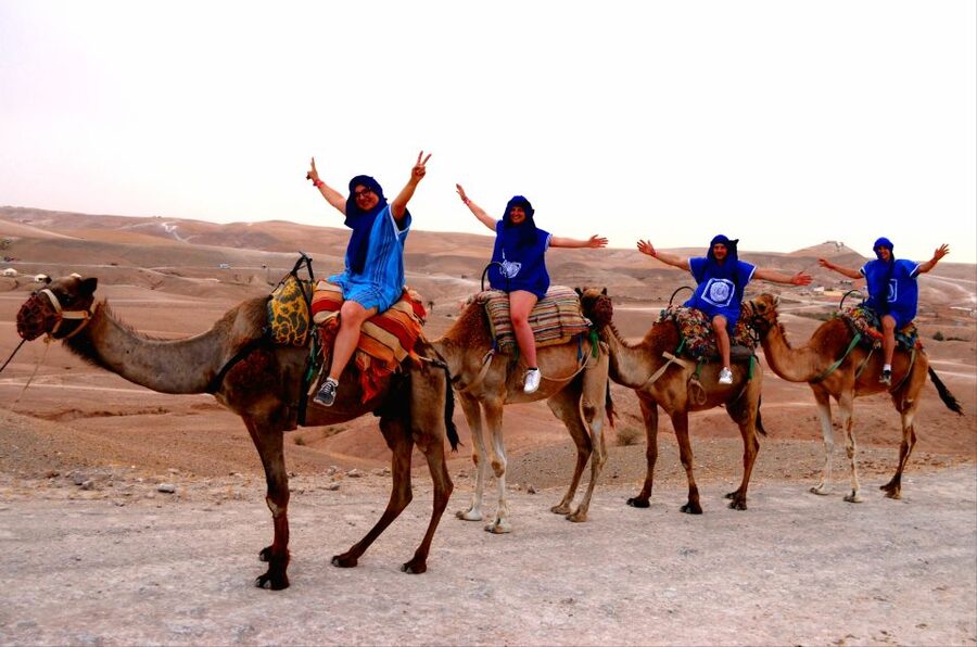 Marrakech: Agafay Desert Buggy Tour with Transfer - Who this tour suits best, and who should choose a different plan