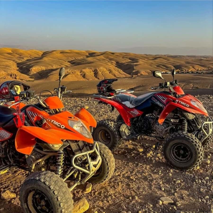 Marrakech: Agafay Desert Camel, Quad Bike & Dinner Show - Guides and drivers: the human factor that makes it feel smooth