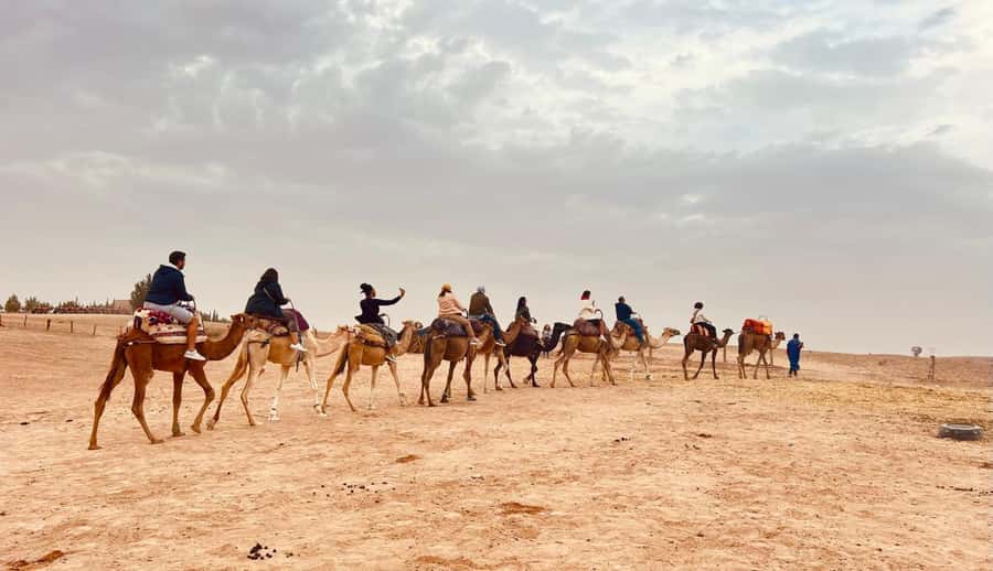 Marrakech: Agafay Desert Camel Ride, Dinner, Fire Show - Fire Show Under the Stars: Energy, Costume, and a Good Ending