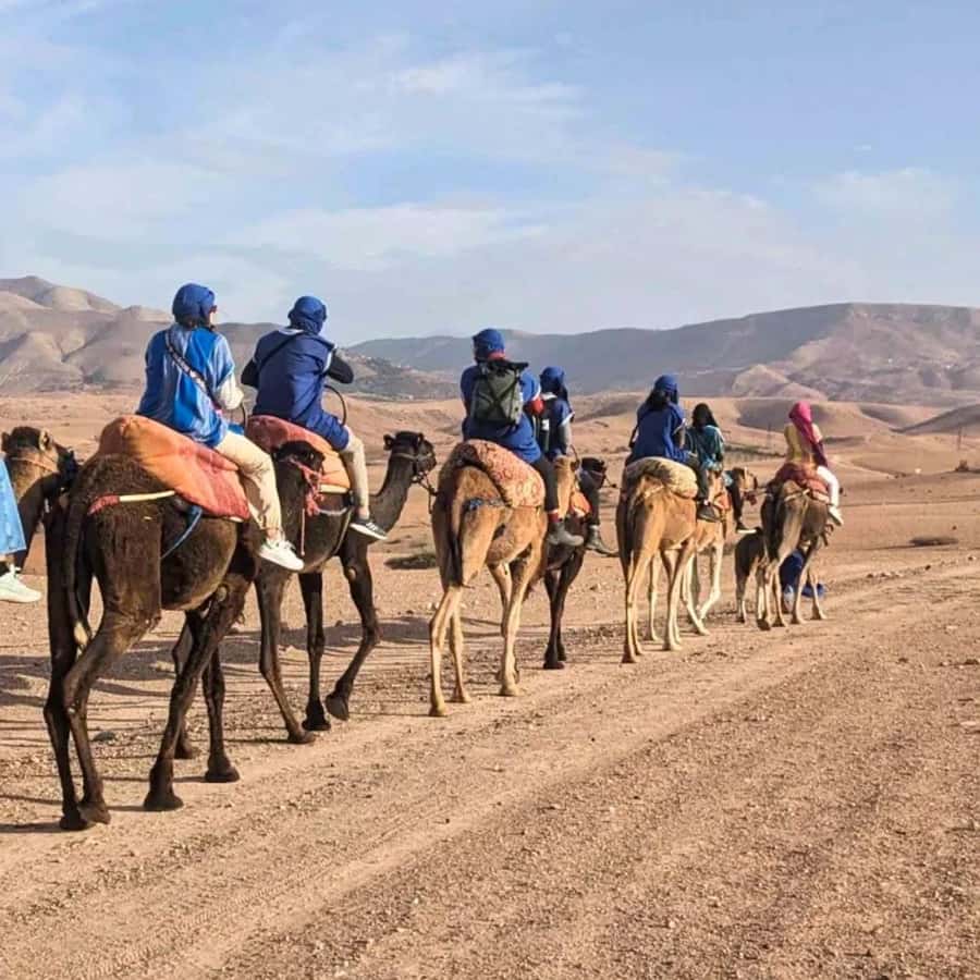 Marrakech: Agafay Desert Camel Ride & Quad with Dinner Show - Dinner under the stars: Moroccan meal plan you can actually plan around