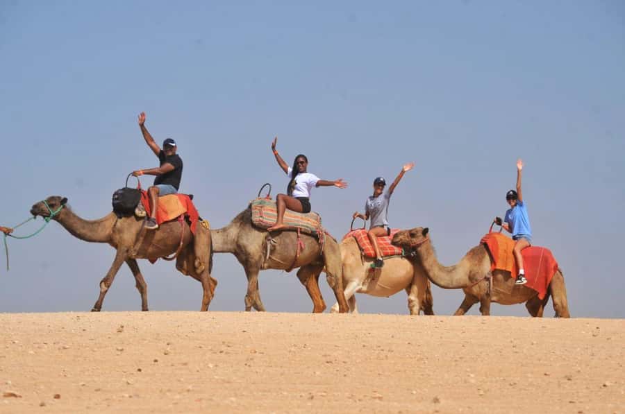 Marrakech Agafay desert: Camel Ride, Sunset, Dinner show - Key things to know before you go