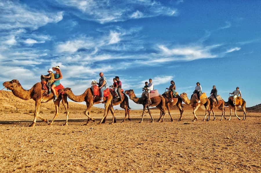 Marrakech Agafay desert: Camel Ride, Sunset, Dinner show - Dinner under the stars: couscous, tagine, and camp energy