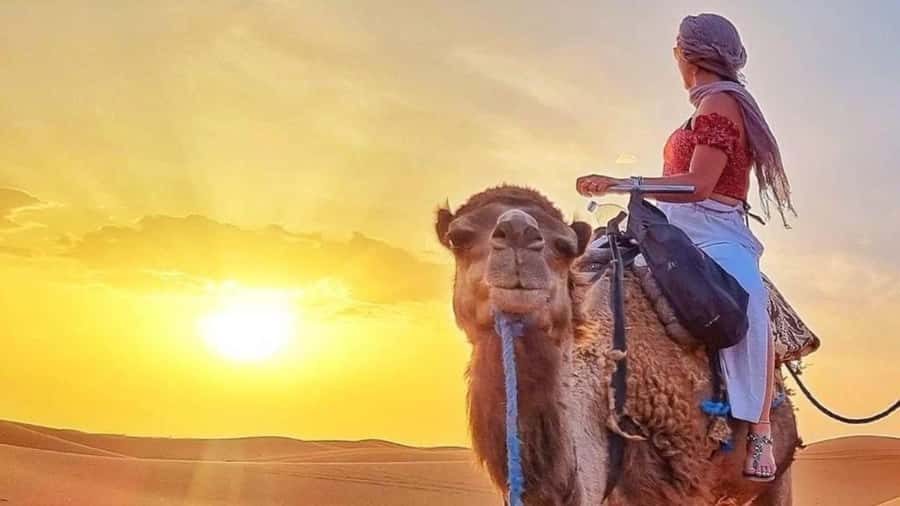 Marrakech Agafay desert: Camel Ride, Sunset, Dinner show - The fire show finale: big effects, high energy