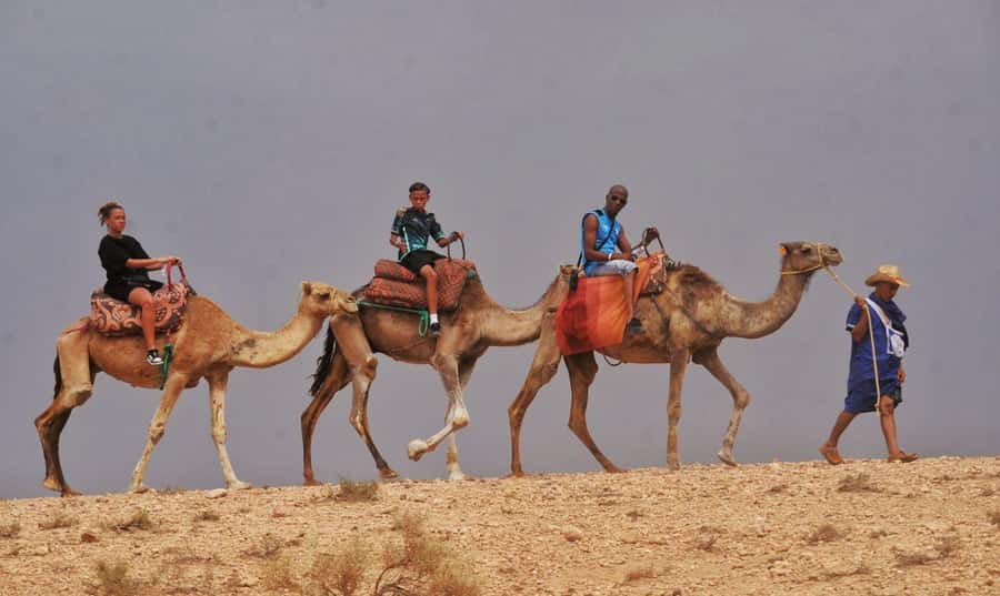 Marrakech Agafay desert: Camel Ride, Sunset, Dinner show - Quad add-ons: only if it fits your priorities