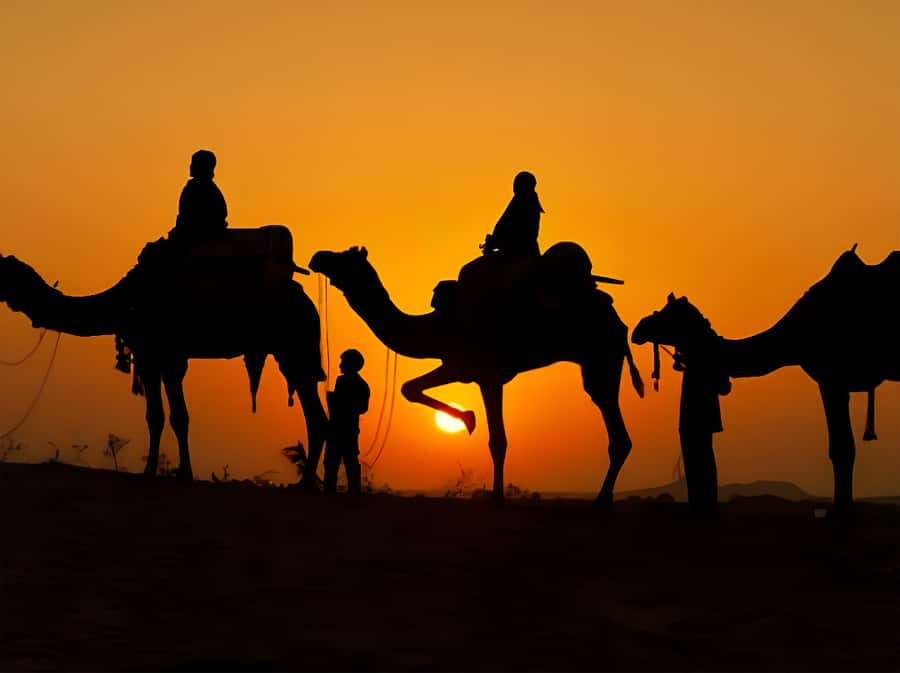 Marrakech: Agafay Desert Camel Ride with Dinner & Show - Live music, traditional dance, and the fire show that people remember