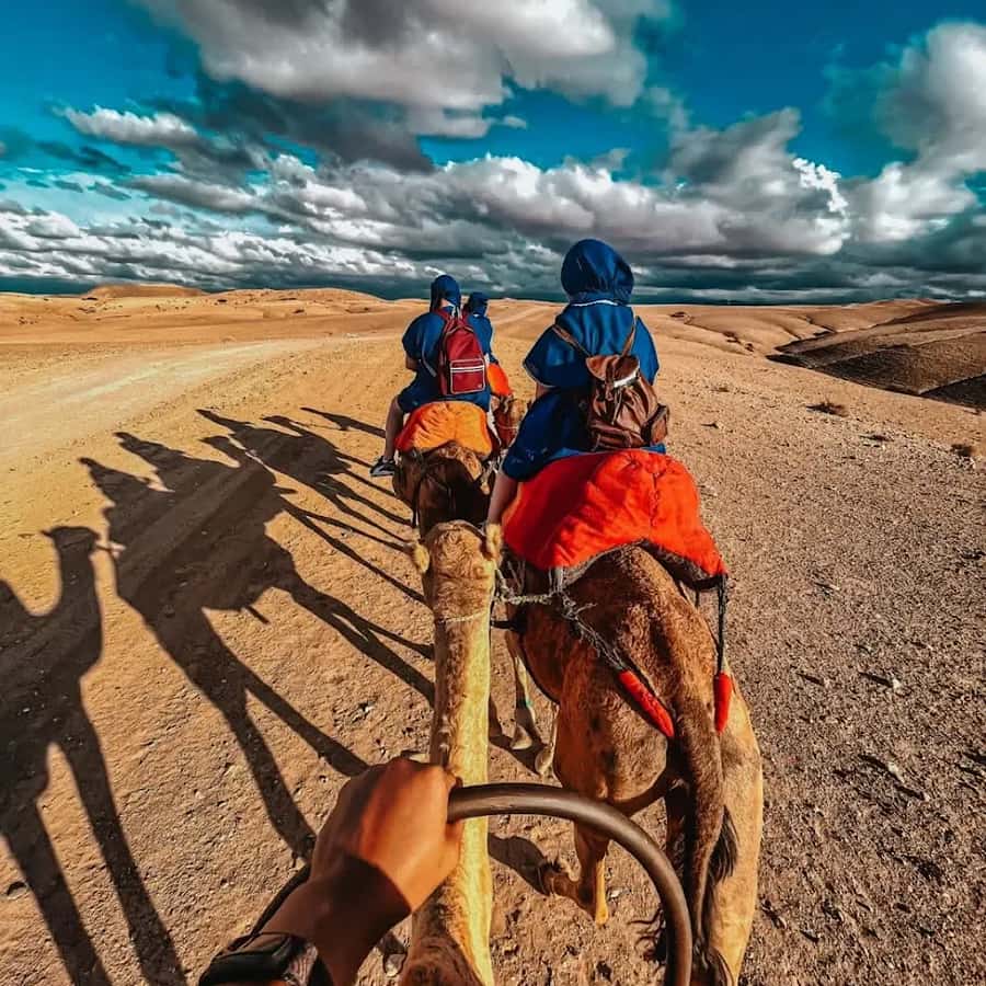 Marrakech: Agafay desert camel ride with dinner & spectacle - Getting There: Hotel Pickup, Drive Time, and When It Starts