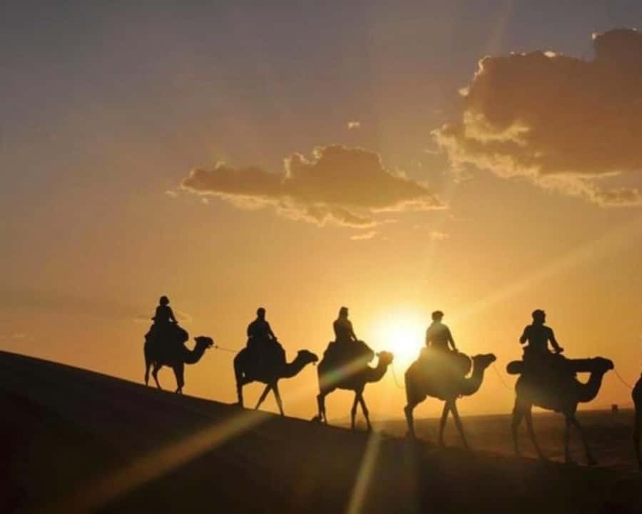 Marrakech: Agafay Desert Camel Rides, Dinner and Fire Show - Who this tour is best for, and who should skip it