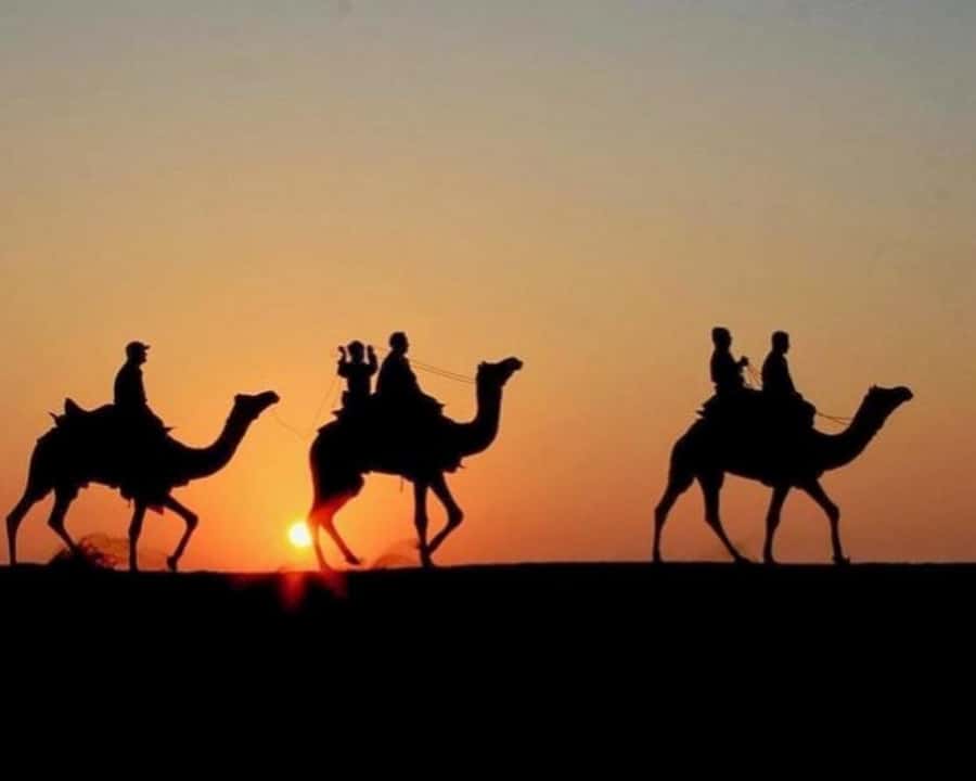 Marrakech: Agafay Desert Camel Rides, Dinner and Fire Show - Argan Oil Women’s Cooperative, what you see and why it’s worth the stop