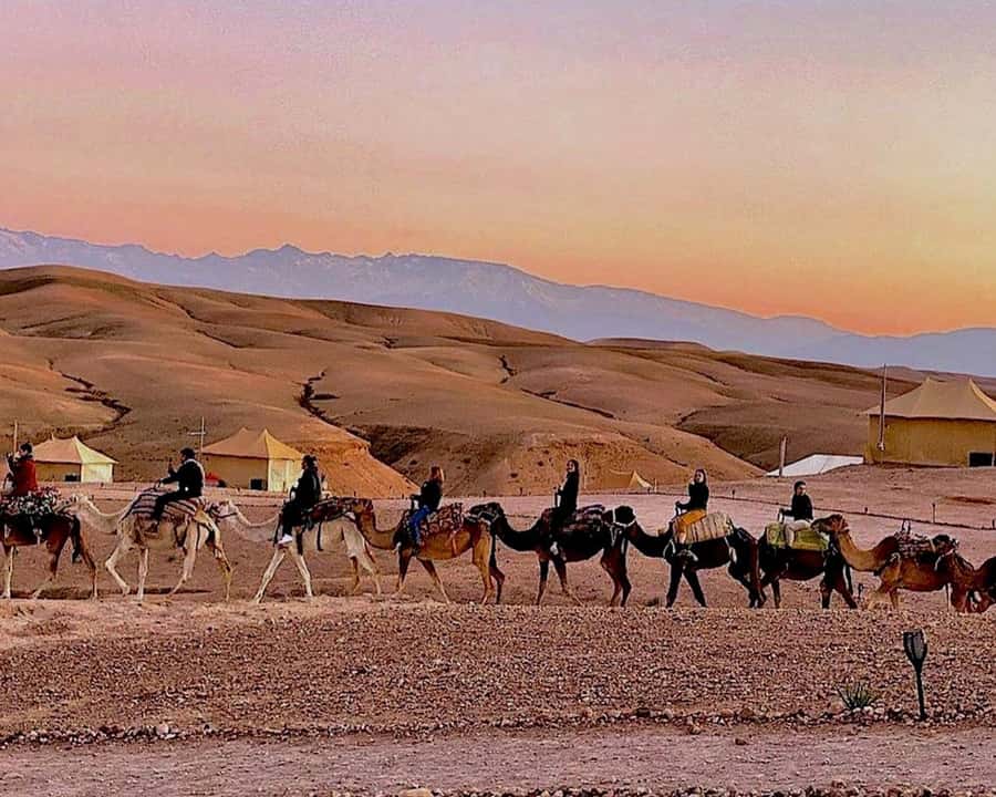 Marrakech: Agafay Desert Camel Rides, Dinner and Fire Show - Camel ride at sunset, the photo window and the mood shift